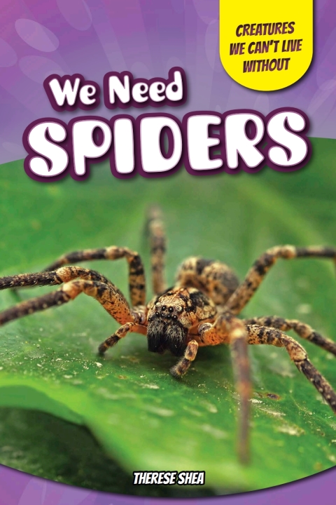 Cover image for book We Need Spiders