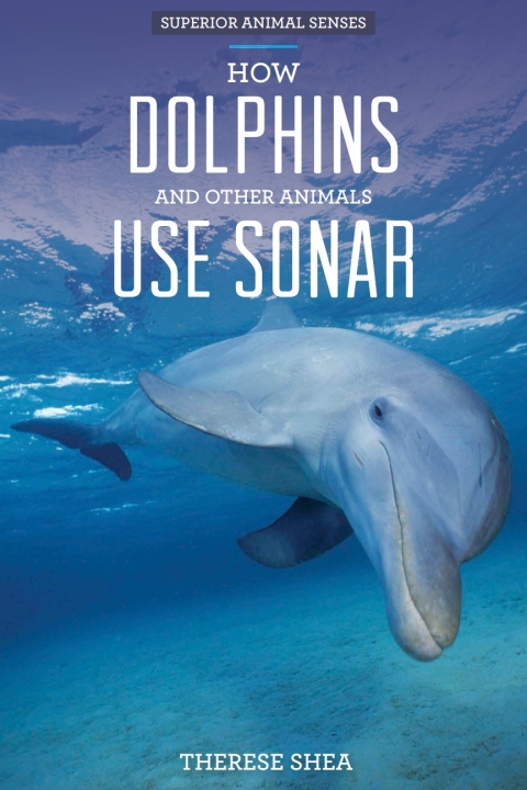 Cover image for book How Dolphins and Other Animals Use Sonar