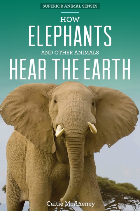 Cover image for book How Elephants and Other Animals Hear the Earth
