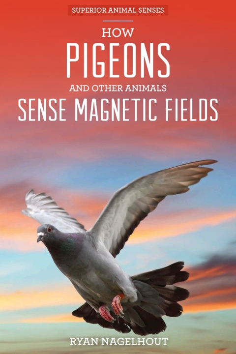 Cover image for book How Pigeons and Other Animals Sense Magnetic Fields