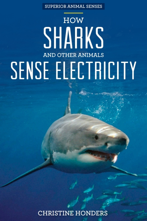 Cover image for book How Sharks and Other Animals Sense Electricity