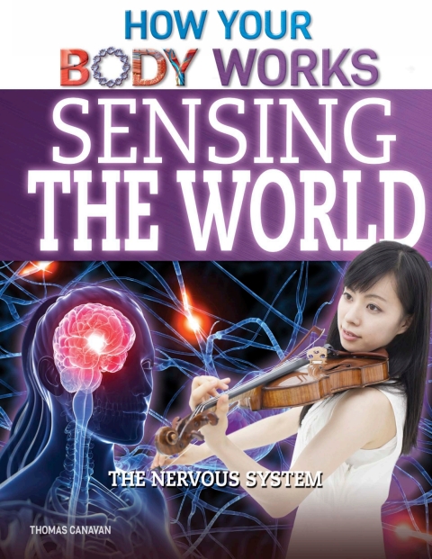 Cover image for book Sensing the World
