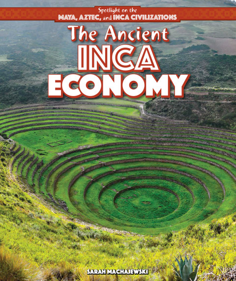 Cover image for book The Ancient Inca Economy