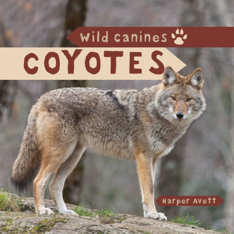 Cover image for book Coyotes