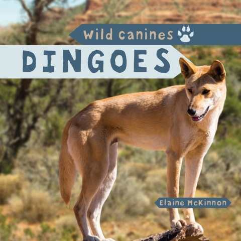 Cover image for book Dingoes