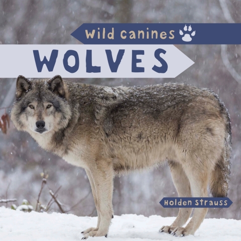 Cover image for book Wolves