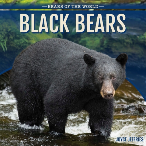 Cover image for book Black Bears