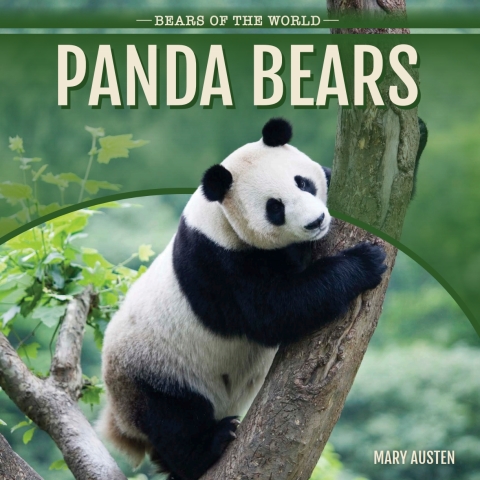 Cover image for book Panda Bears