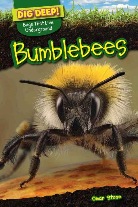 Cover image for book Bumblebees