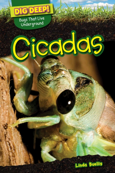 Cover image for book Cicadas