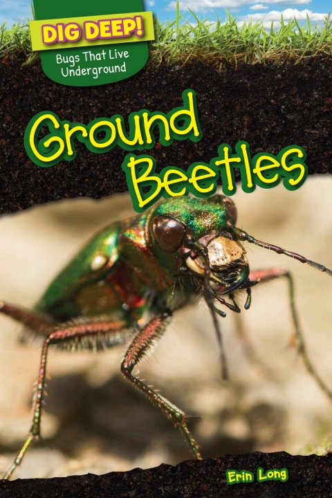 Cover image for book Ground Beetles