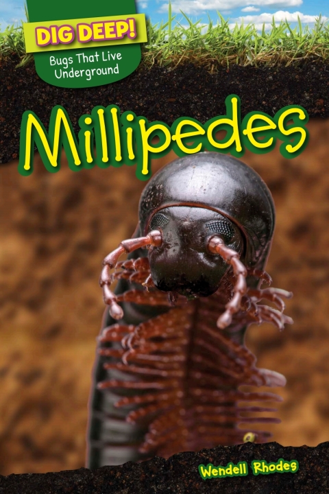 Cover image for book Millipedes