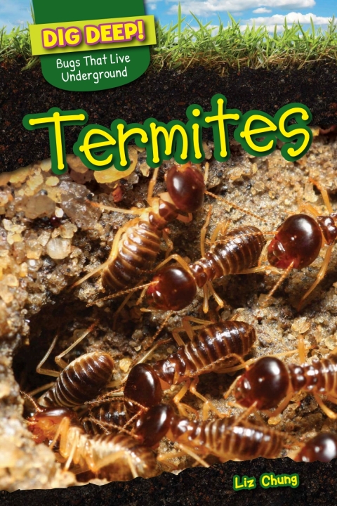 Cover image for book Termites