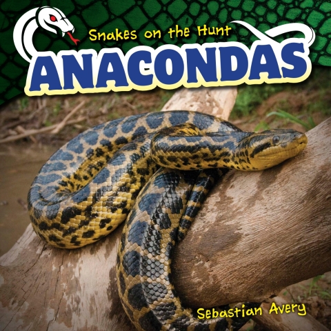 Cover image for book Anacondas