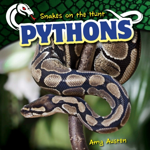 Cover image for book Pythons
