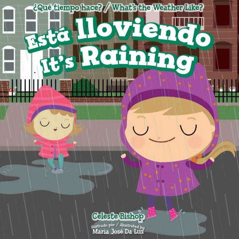 Cover image for book Está lloviendo / It's Raining