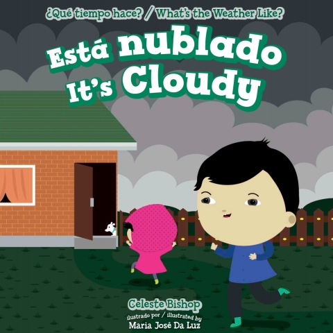 Cover image for book Está nublado / It's Cloudy