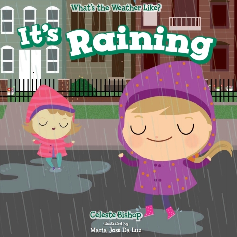 Cover image for book It's Raining