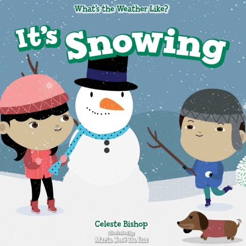 Cover image for book It's Snowing