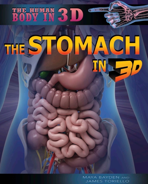 Cover image for book The Stomach in 3D