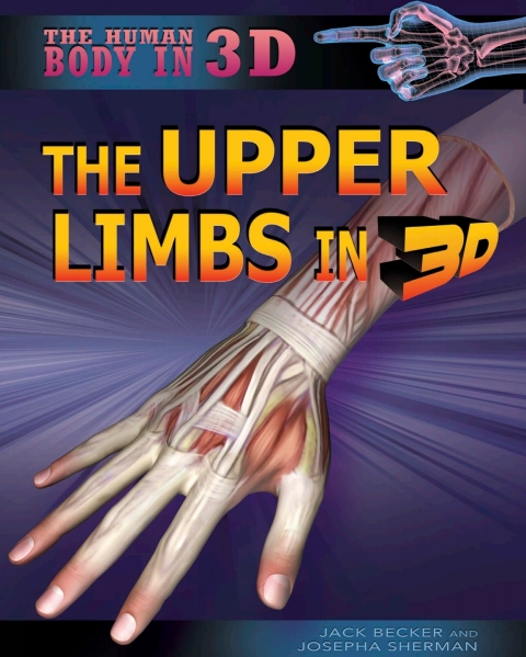Cover image for book The Upper Limbs in 3D