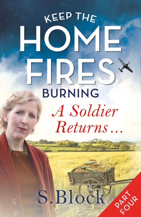 Cover image for book Keep the Home Fires Burning