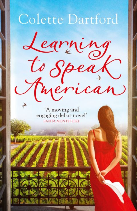 Cover image for book Learning to Speak American