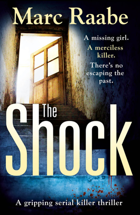Cover image for book The Shock