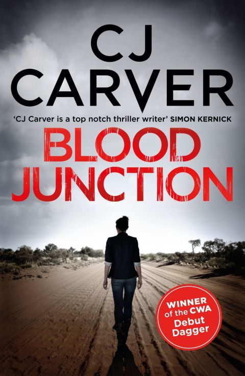 Cover image for book Blood Junction