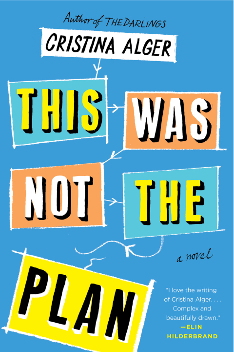 Cover image for book This Was Not the Plan