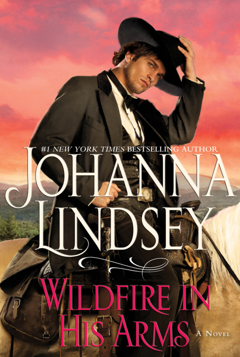 Cover image for book Wildfire In His Arms