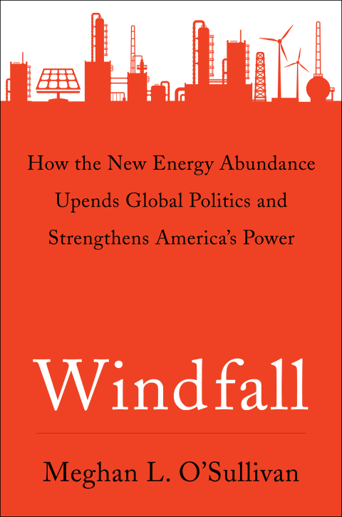 Cover image for book Windfall