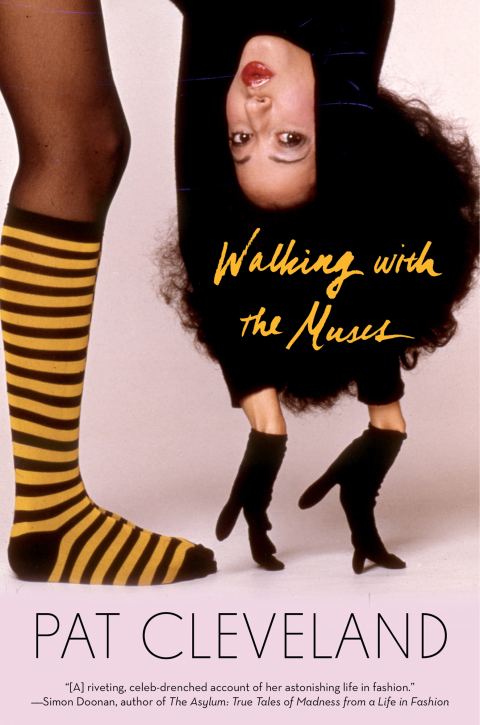 Cover image for book Walking with the Muses
