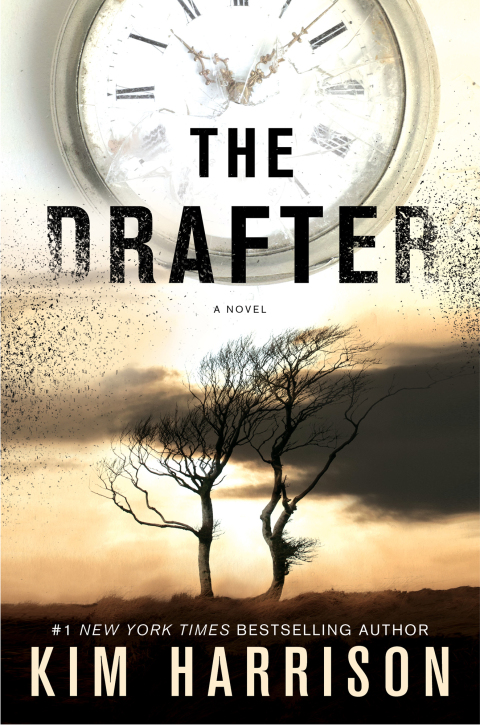 Cover image for book The Drafter