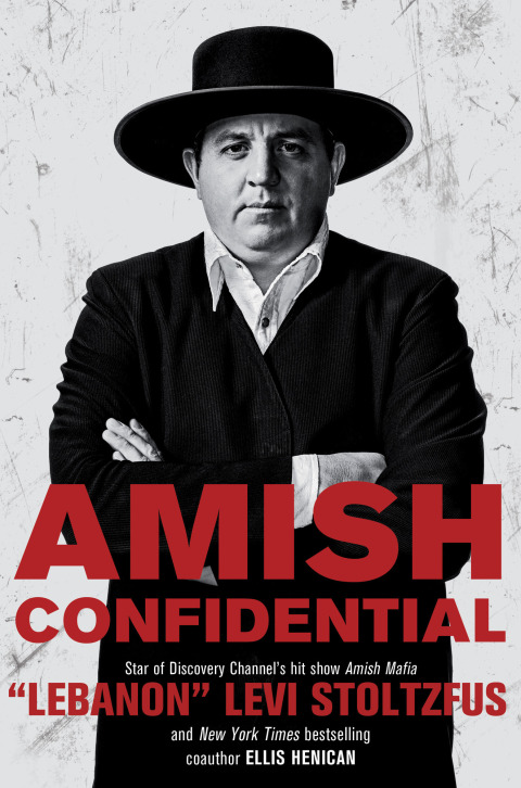 Cover image for book Amish Confidential