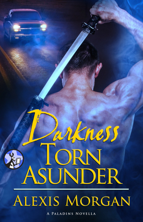 Cover image for book Darkness Torn Asunder