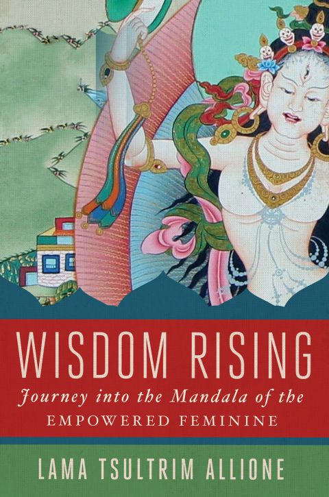 Cover image for book Wisdom Rising