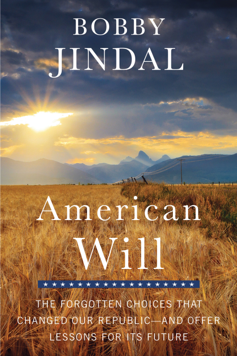 Cover image for book American Will