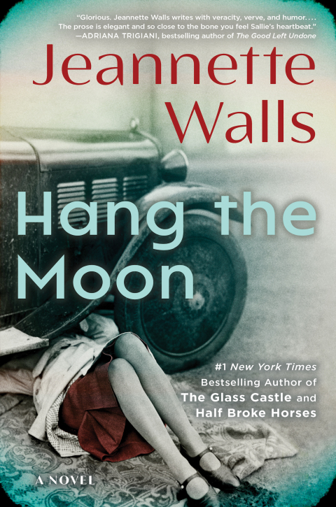 Cover image for book Hang the Moon