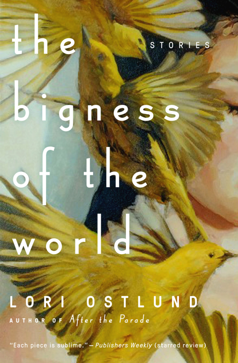 Cover image for book The Bigness of the World
