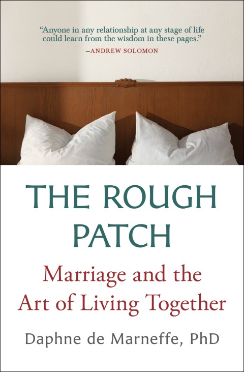 Cover image for book The Rough Patch
