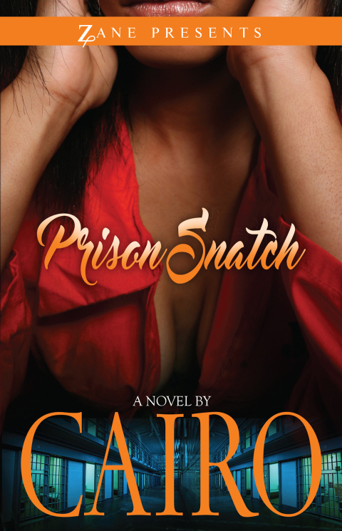 Cover image for book Prison Snatch