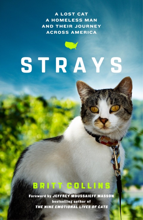 Cover image for book Strays