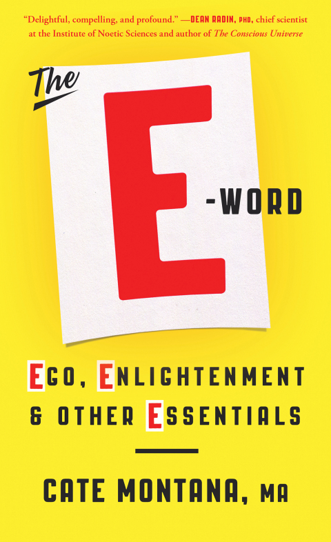 Cover image for book The E-Word