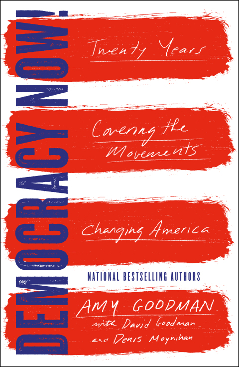 Cover image for book Democracy Now!