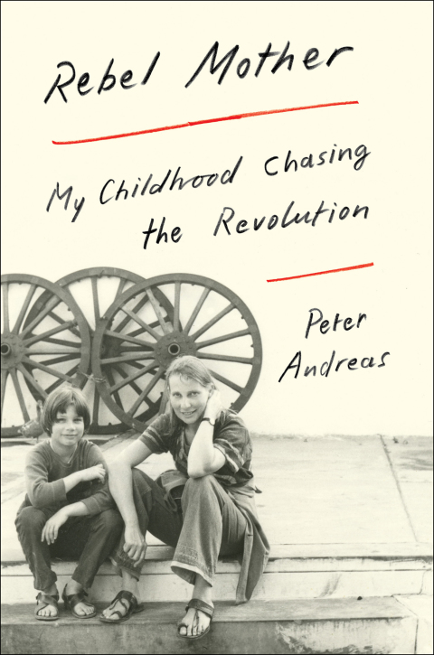 Cover image for book Rebel Mother