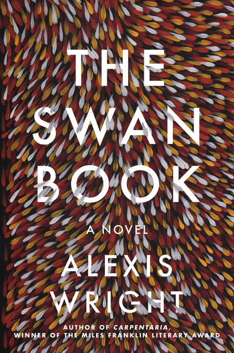 Cover image for book The Swan Book