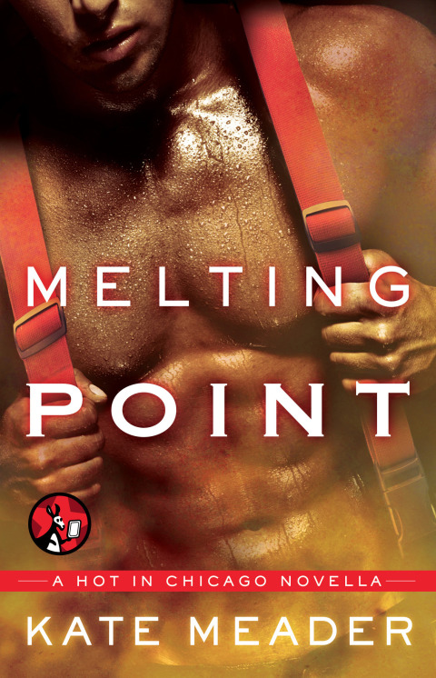 Cover image for book Melting Point