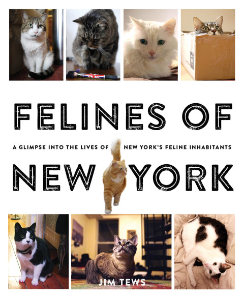 Cover image for book Felines of New York