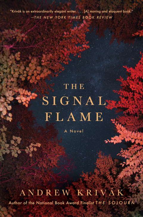 Cover image for book The Signal Flame